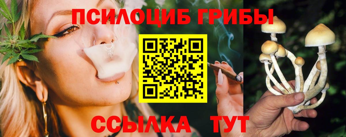 Галлюциногенные грибы Psilocybine cubensis  Псилоцибиновые грибы Magic Shrooms  Вход с VPN  Звенигород 