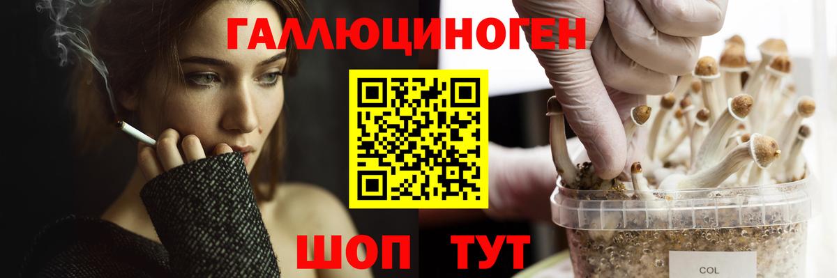 Псилоцибиновые грибы MAGIC MUSHROOMS Звенигород